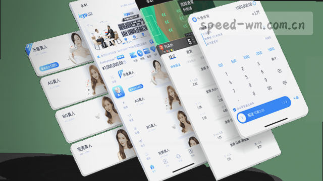 CN区访问通道加速